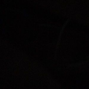 Meet your Posher, Daisy